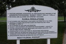 Enlarge photo 43