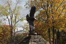 Enlarge photo 43