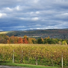 Enlarge photo 66