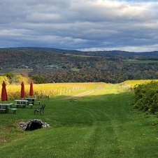 Enlarge photo 68