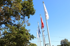 Enlarge photo 20