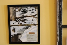 Enlarge photo 72