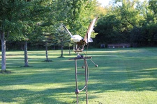 Enlarge photo 104
