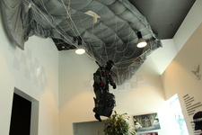 Enlarge photo 58