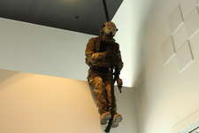 Enlarge photo 62