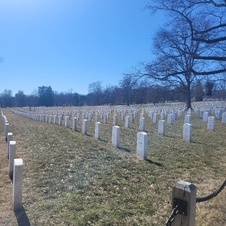 Enlarge photo 38