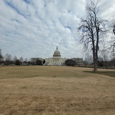 Enlarge photo 49