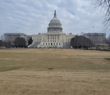 Enlarge photo 48