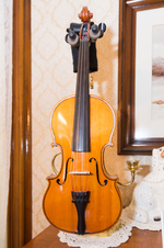 Enlarge photo 28