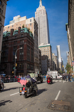 Enlarge photo 36