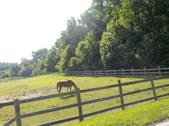 Enlarge photo 59