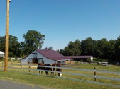 Enlarge photo 53