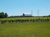 Enlarge photo 99