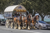 Enlarge photo 36