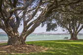 Enlarge photo 37