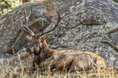 Enlarge photo 28