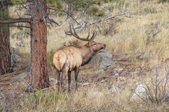 Enlarge photo 30