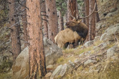 Enlarge photo 29