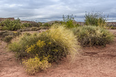 Enlarge photo 32