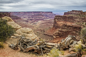 Enlarge photo 33
