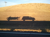 Enlarge photo 151