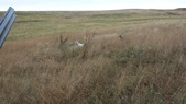 Enlarge photo 205