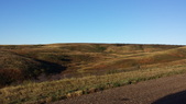Enlarge photo 203