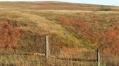 Enlarge photo 204