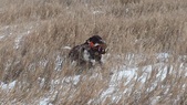 Enlarge photo 224