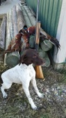 Enlarge photo 233