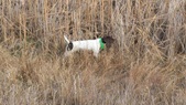 Enlarge photo 235