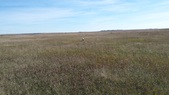 Enlarge photo 246