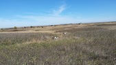 Enlarge photo 248