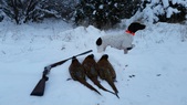 Enlarge photo 256
