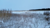 Enlarge photo 257