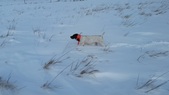 Enlarge photo 254