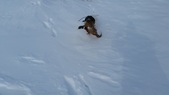 Enlarge photo 255