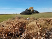 Enlarge photo 258
