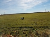 Enlarge photo 259