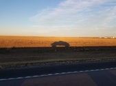 Enlarge photo 260