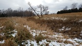 Enlarge photo 279