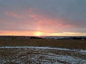 Enlarge photo 275