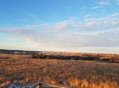 Enlarge photo 270