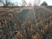 Enlarge photo 268