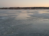 Enlarge photo 301