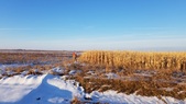 Enlarge photo 322
