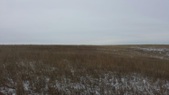 Enlarge photo 238