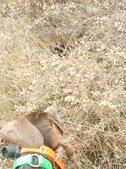 Enlarge photo 132