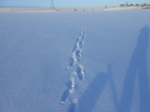 Enlarge photo 308