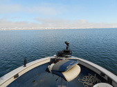 Enlarge photo 163